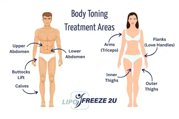 Graphic showing where you can have Body toning Treatment Ellesmere Port on your body